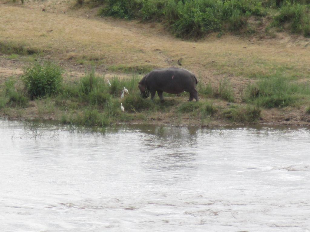 Pestana Kruger Lodge Malalane Zewnętrze zdjęcie